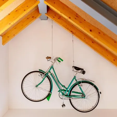 Município, Urban Chic, * Sintra