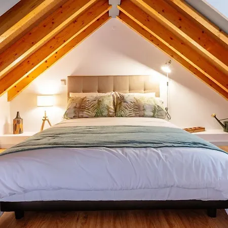 Município, Urban Chic, Sintra