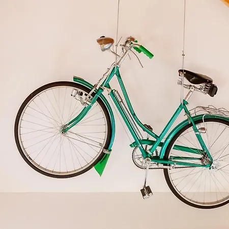 Município, Urban Chic, *